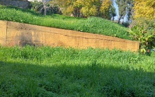 Vend un beau Terrain Rahmania