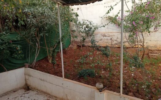 Loue F4 Saïd hamdine