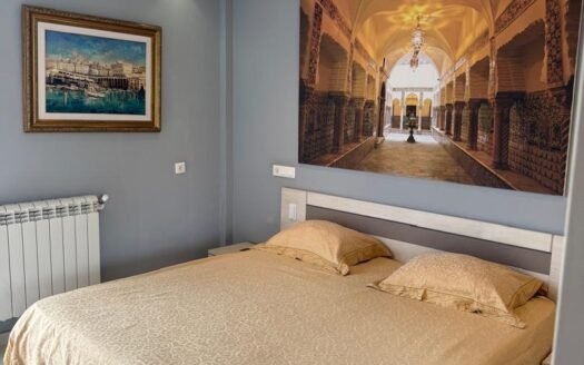 Vente appartement Delybrahim